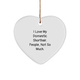 Funny Domestic Shorthair Cat Gifts from Men to Family, Heart Ornament for Christmas Unique Gifts - Image 1